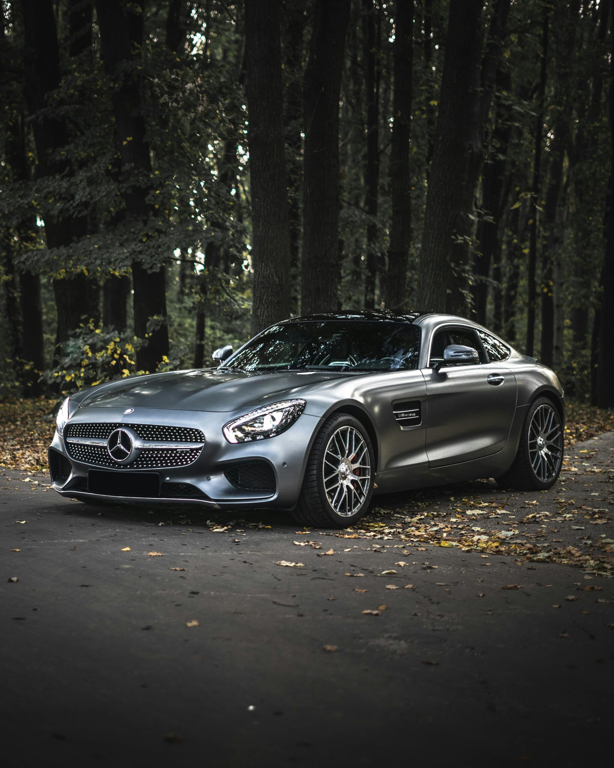 Luxurious Mercedes-Benz AMG GT parked in a serene forest setting.